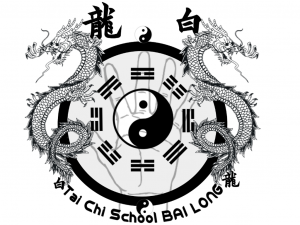 Tai Chi School 太 極 Bai Long 白龙 Tai Chi school de witte draak in Glimmen, Tai Chi & Qi Gong en Martial arts lessen.