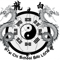 Tai Chi School Bai Long / opgericht door Anneke van ALteren en Machiel Gabor Welbergen in 2014 // Onderdeel van F1T