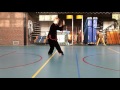 DEEL 2A: VORM 10 T/M 17 / Traditionele Yangstijl Taijiquan 43-vorm