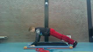 F1Tmat week 14 - Push-ups stapsgewijs leren