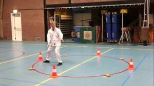 YANG 43 VORM: VORMEN 1 T/M 9 SCHUIN VOOR // de 8 windrichtingen, 8 EXTERNE KRACHTEN GENOEMD IN TAI CHI CHUAN