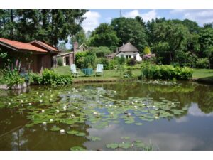 Training locatie  Aan `t Zandpad - In de herfs en wintermaanden trainen we binnen. Bij goed weer in de lente en zomer trainen we buiten achter in de prachtige tuin bij de vijver